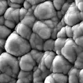 Porous morphology of Silicon Anodes